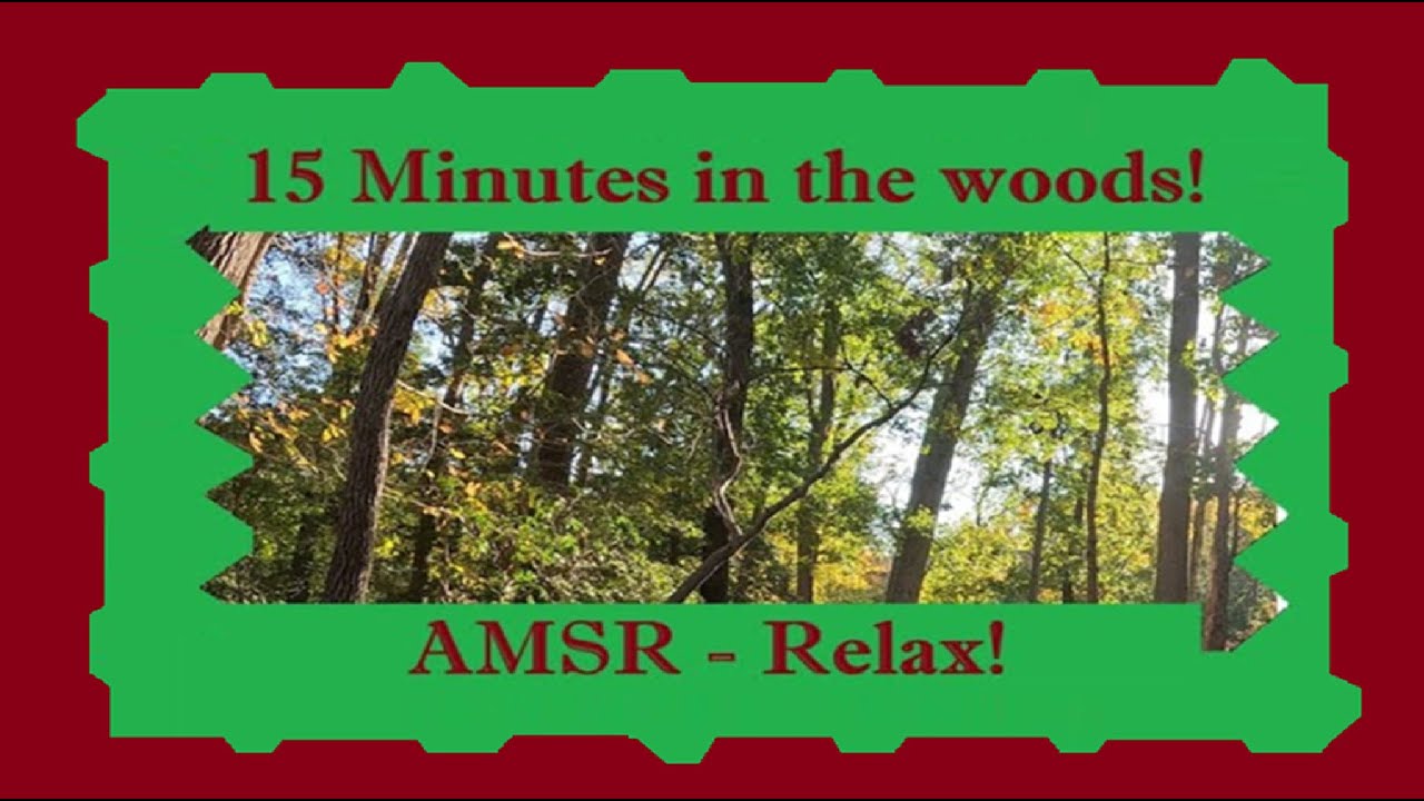 AMSR 15 Minutes in the Woods - Relax before bed or running out the door!