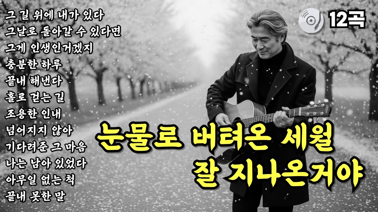 ✨눈물로 버텨온 세월 잘지나온거야 | 눈물나는 노래 | 위로가 되는 중년감성 트로트 발라드 12곡 모음