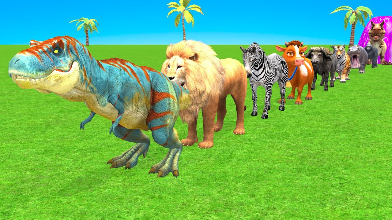 Wonderful Long Slide Game With Cow Elephant Gorilla Hippopotamus Tiger 3dAnimal Game Funny 3dAnimals