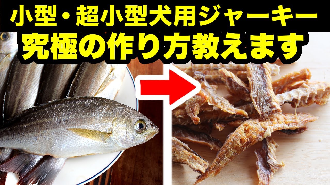 【永久保存版】犬が夢中になる究極の手作り魚ジャーキーの作り方教えます