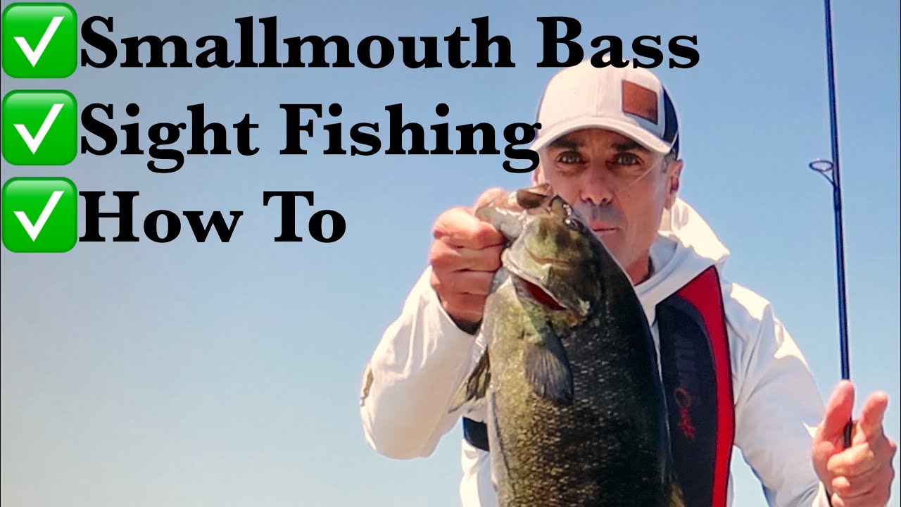 Late Summer Smallmouth Bass Fishing, Lake Erie ( How To )