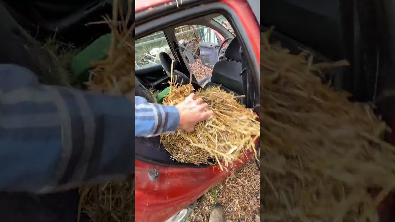 خاص نطرد هاذي لي سكنات ليا