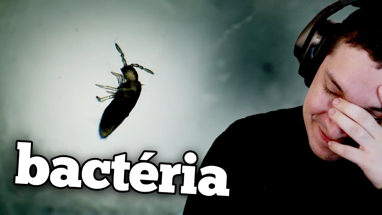 o CARA CRIOU um ECOSSISTEMA por 3 ANOS | meiaum reagindo