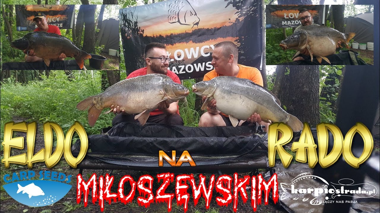 #Miłoszewskie eldorado...piękne pełnołuskie i  oberwanie chmury.....