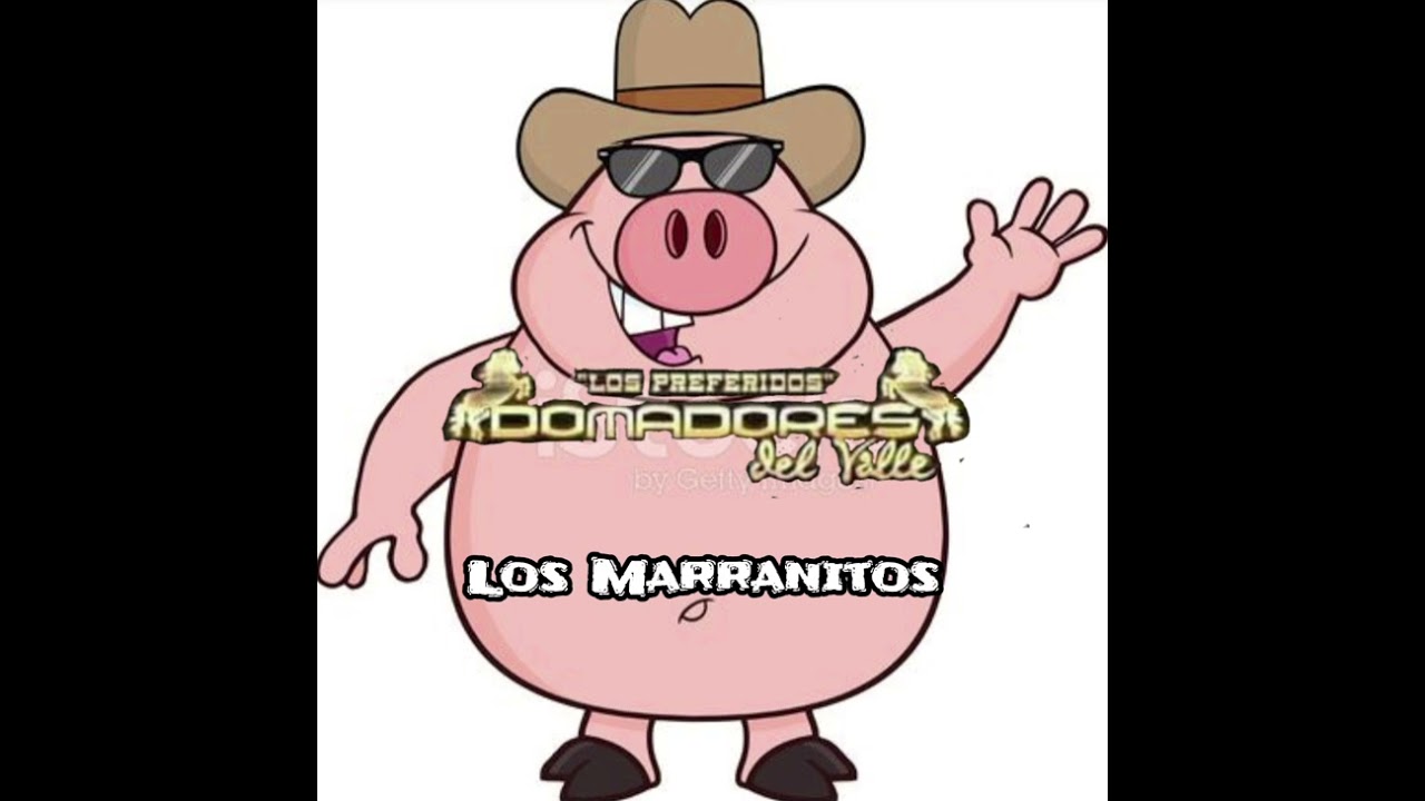LOS MARRANITOS/DOMADORES DEL VALLE