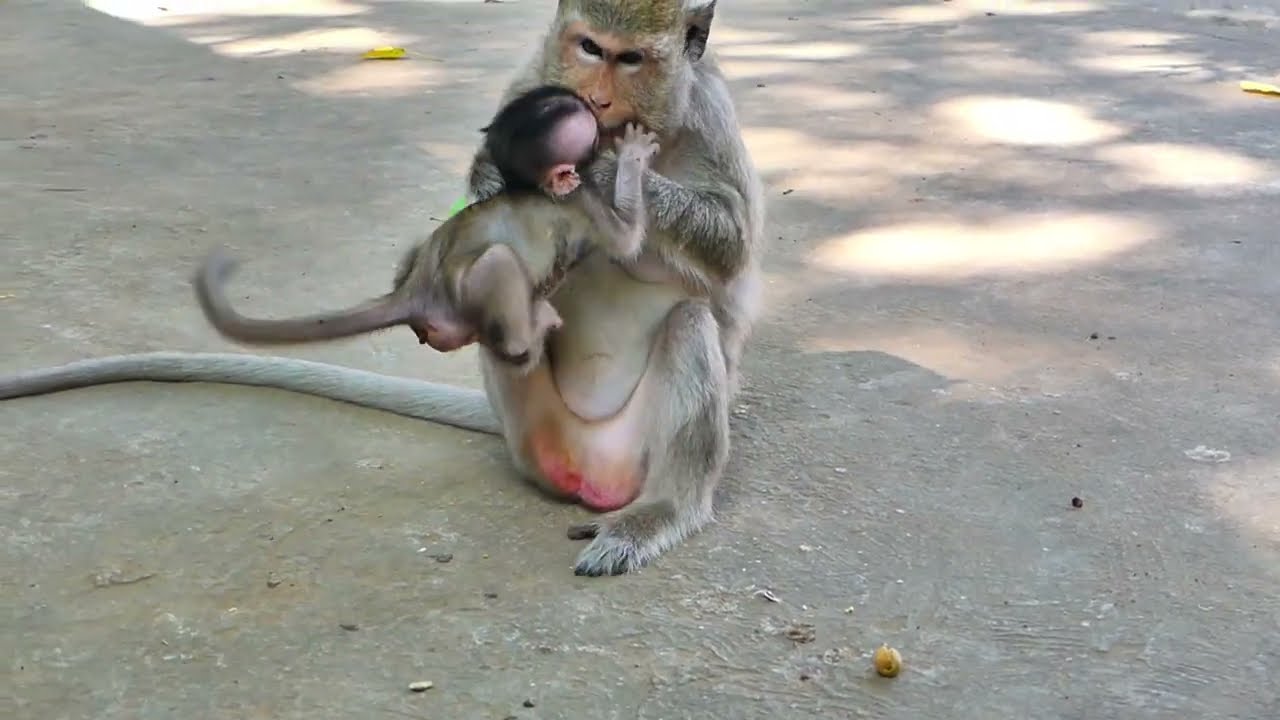 OMG, baby MIRA upset with mom busy to eat no breast milk.