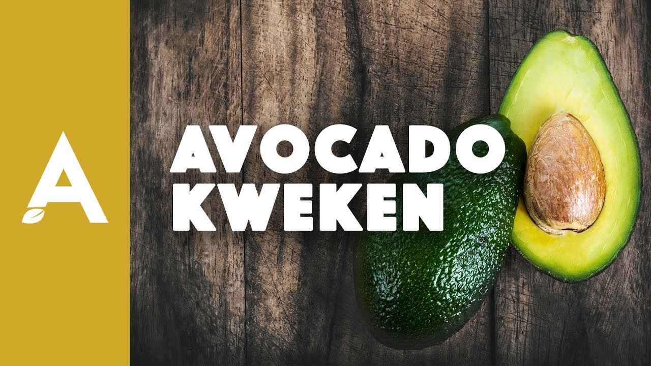 Avocado kweken: zo makkelijk doe je dat! I Een groener thuis #10 I Angelo Dorny