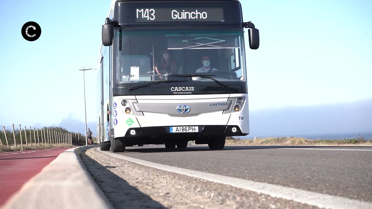 Primeiro autocarro a hidrogénio do país já circula em Cascais
