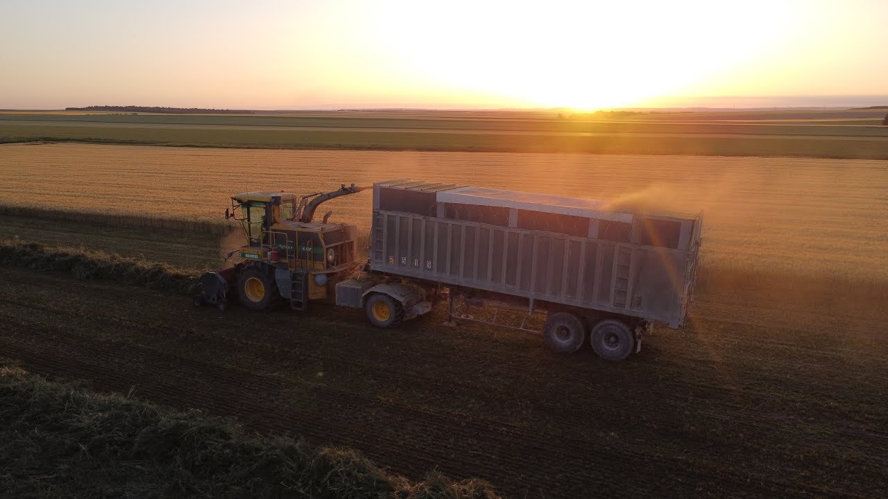 Ensilage de luzerne XL CMC 5800/ Fendt 818 & ROC RT 950 !!