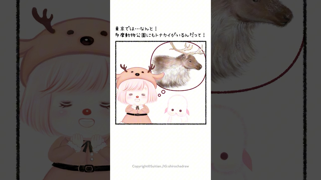 E.D.L.G♪ 第11話「トナカイ🎁」 