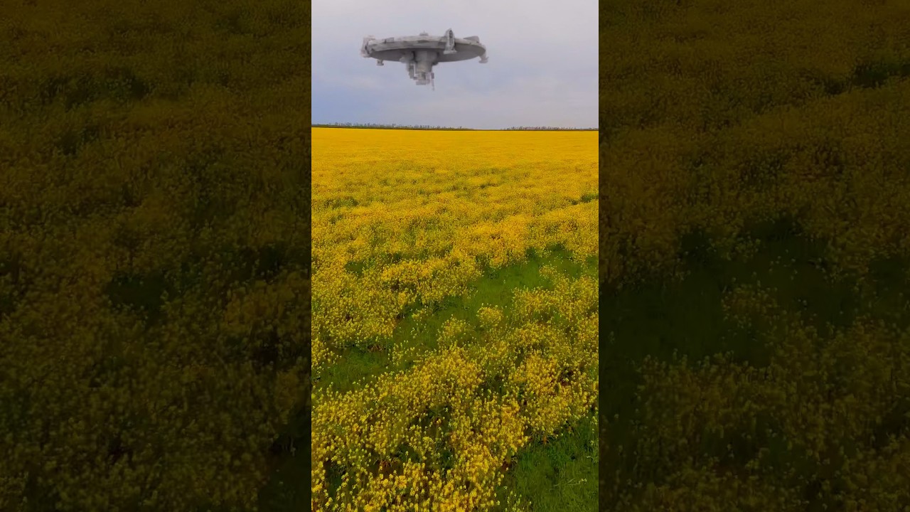 Вы всё еще не верите в НЛО? Кубань 8 мая 2023. #нло #кубань #новости #ufo #летающаятарелка