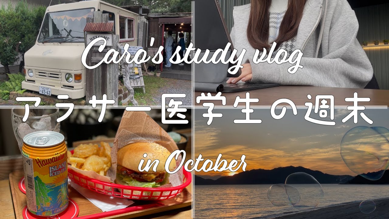 【アラサー医学生】久しぶりのstudy vlog【勉強してご飯食べるだけ】