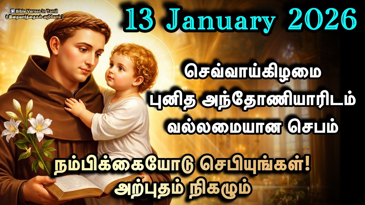 13 January | செவ்வாய்கிழமை | புனித அந்தோணியாரிடம் வல்லமையான செபம் | நம்பிக்கை தரும் மன்றாட்டு