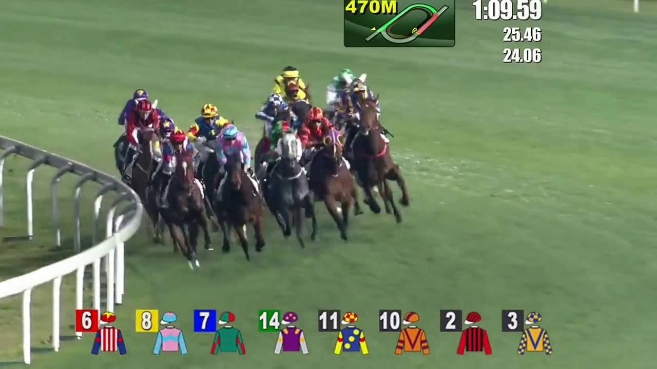 RACE WITHOUT GAIT, PAKISTAN STAR KO !!