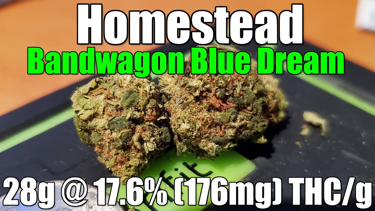 Homestead - Bandwagon Blue Dream - Unboxing Review - 28g @ 17.6% (176mg) THC/g (+Extreme Closeups)