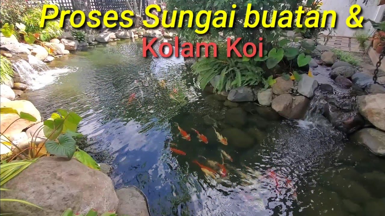 Cara membuat kolam koi alami di depan rumah
