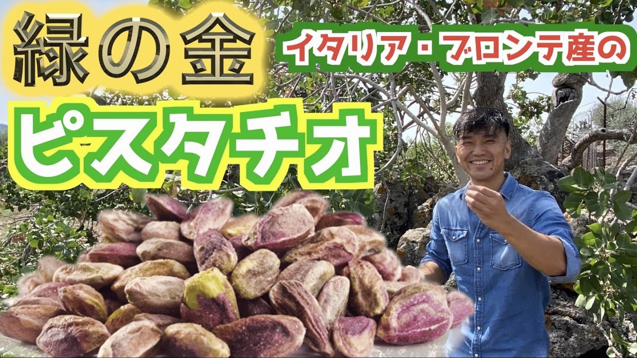 ピスタチオの木みたことある？少量生産の超高級＆貴重なシチリア・ブロンテのピスタチオ！【緑の金】Pistacchio di Bronte DOP