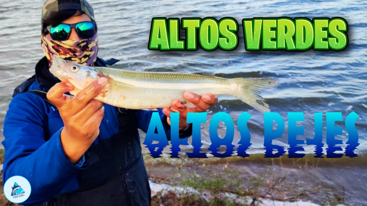 MIS PRIMEROS PEJERREYES DE LA TEMPORADA 2025!! | Altos Verdes - Castelli