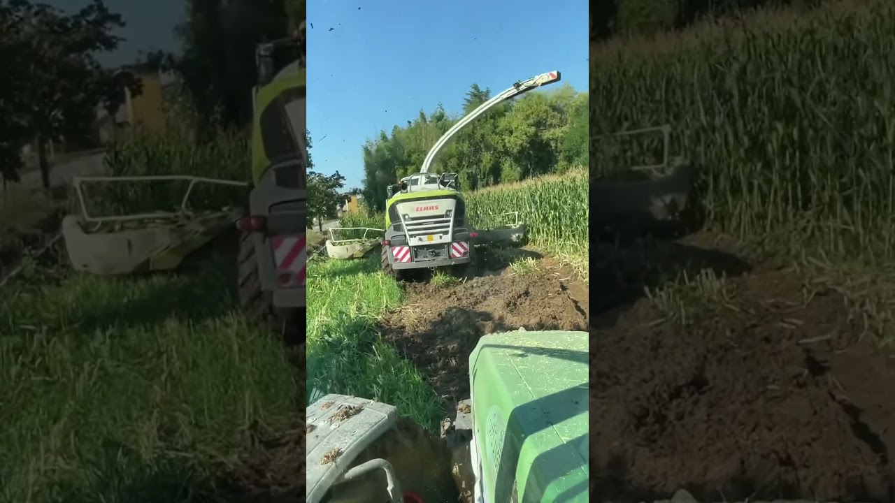 Hard conditions 🤔 