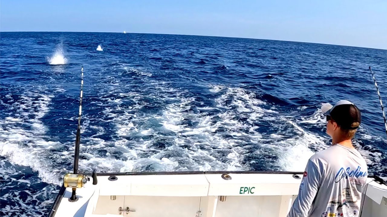 TUNA SMACKDOWN (Oregon Inlet Offshore Fishing)