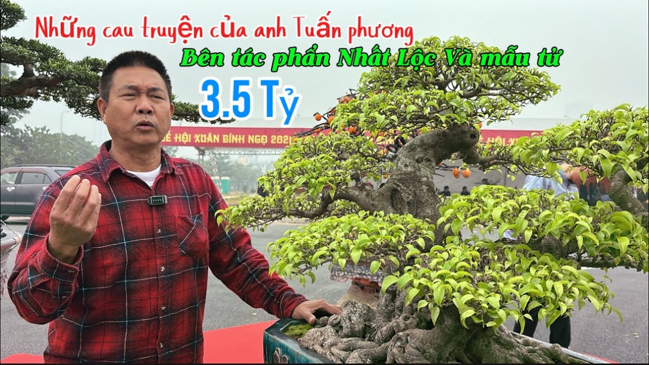 Chia sẻ của anh Tuấn Phương bên TP Nhất Lộc và Mẫu Tử tại trường đua f1 | Quảng Tùng
