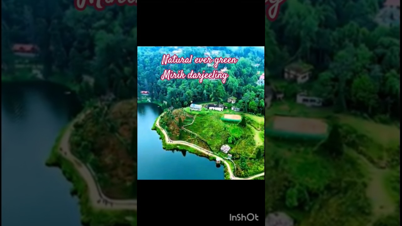 Natural evergreen #shortvideo #music #Deves Dungmali Duniya #nature #mountains #trave l#inspiratio