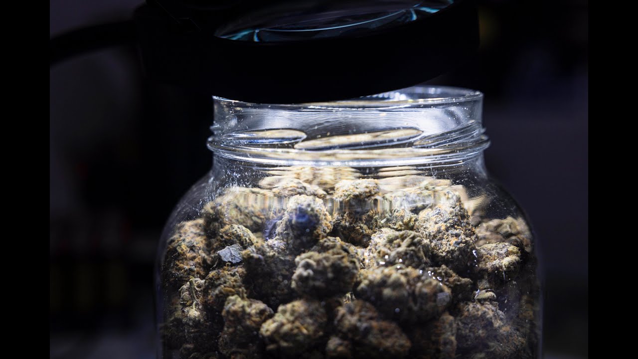 Weed war intensifies in Yooper border town