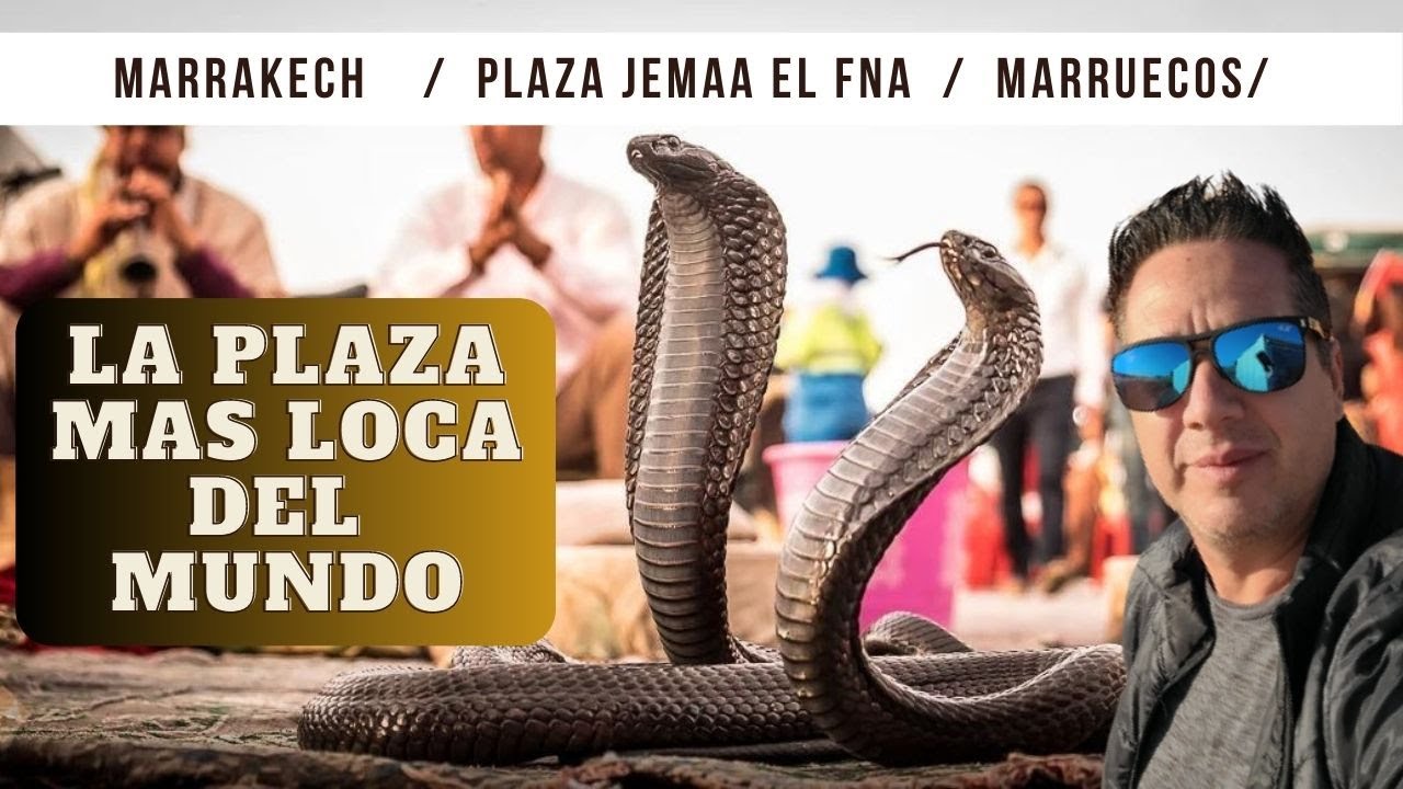MARRAKECH: JEMAA EL-FNA, ¡La Plaza Más LOCA del Mundo! 🐍 Guía para Descubrirla (Marruecos 4K)