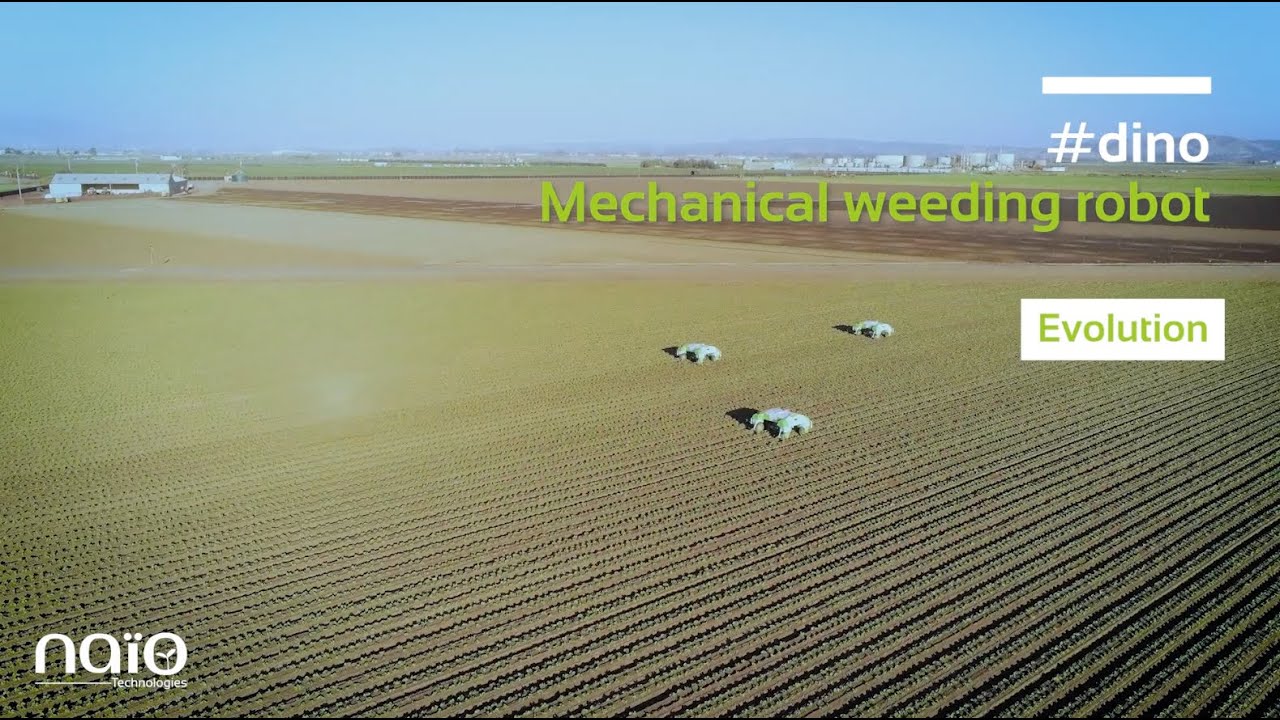 #Dino - 2020 - Evolution of the Mechanical weeding robot