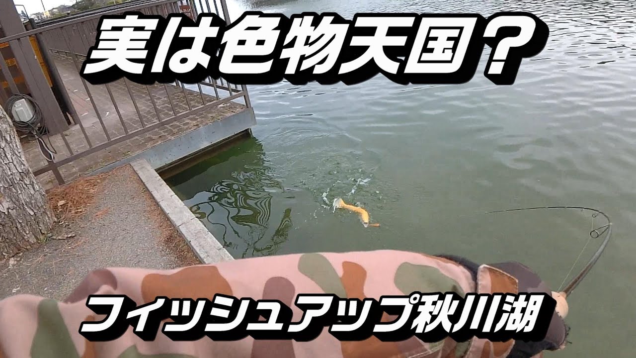 実は色物天国？フィッシュアップ秋川湖