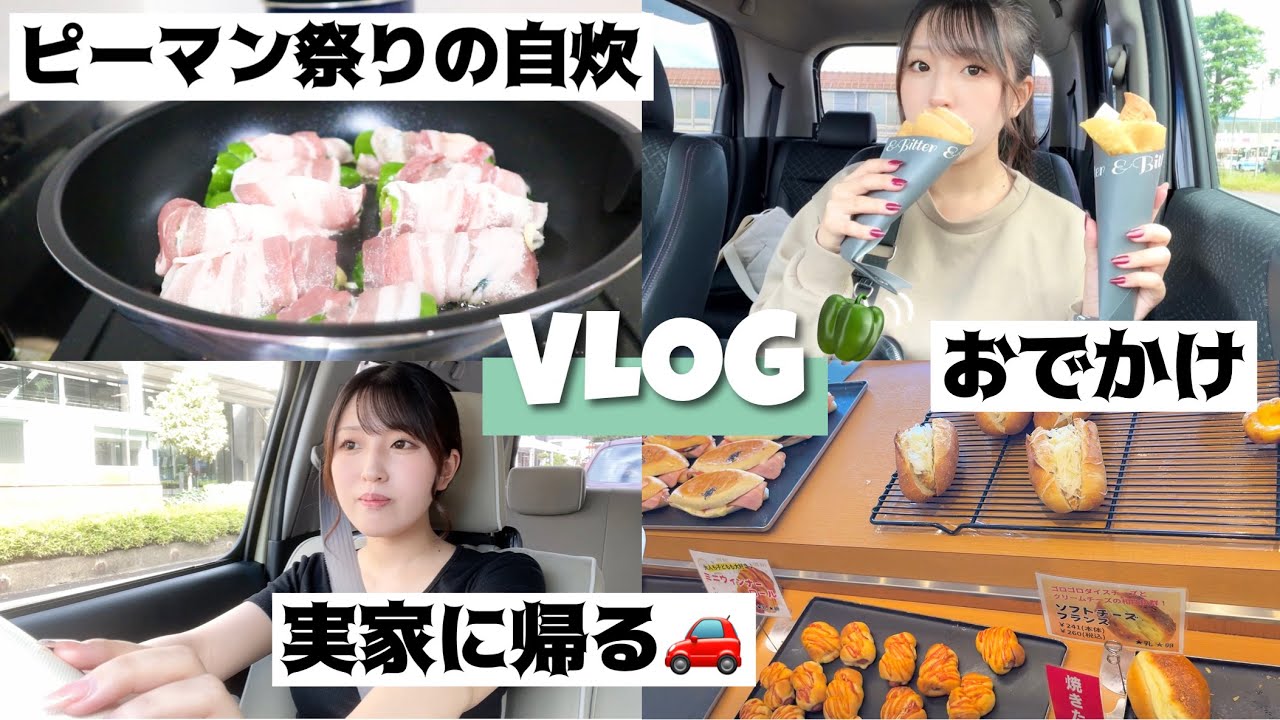 【日常vlog】実家に帰る準備｜自炊2日分🫑｜購入品｜お出かけ｜今回はピーマン祭りですよ〜🫑🫑