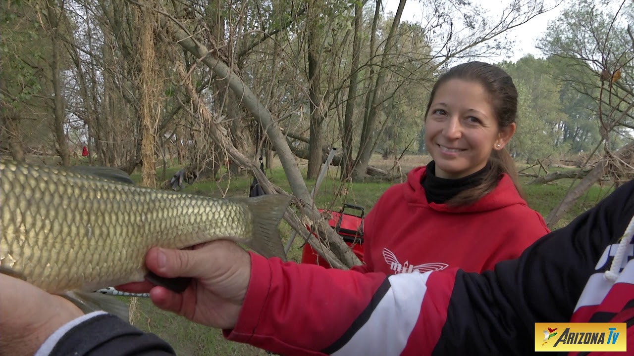 MONDO PESCA -  BARBI E CAVEDANI -   FISH  BARBELS AND CHUBS - Con Maurizio Teodoro - #pescasportiva