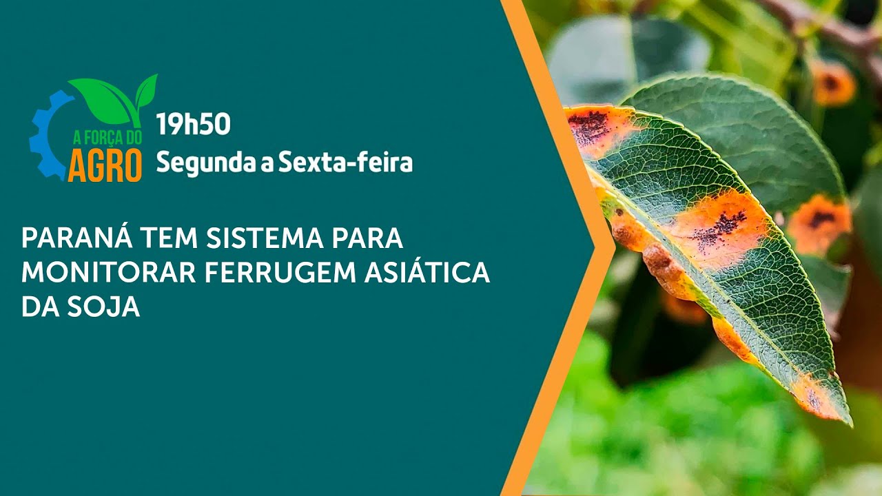 A Força do Agro, com Joice Maffezzolli - Paraná tem sistema para monitorar ferrugem asiática da soja