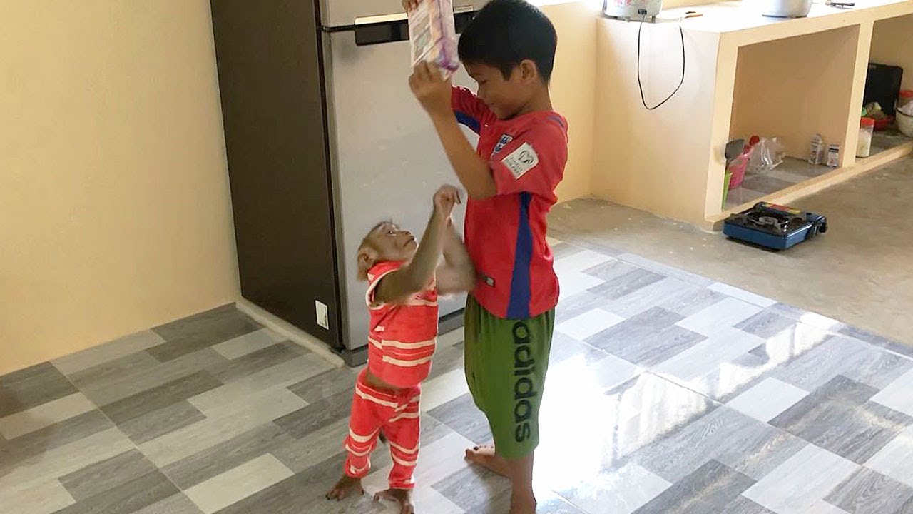 Little Jason Lovable Gentle Request To Join Brother Eat Ice Cream Milk