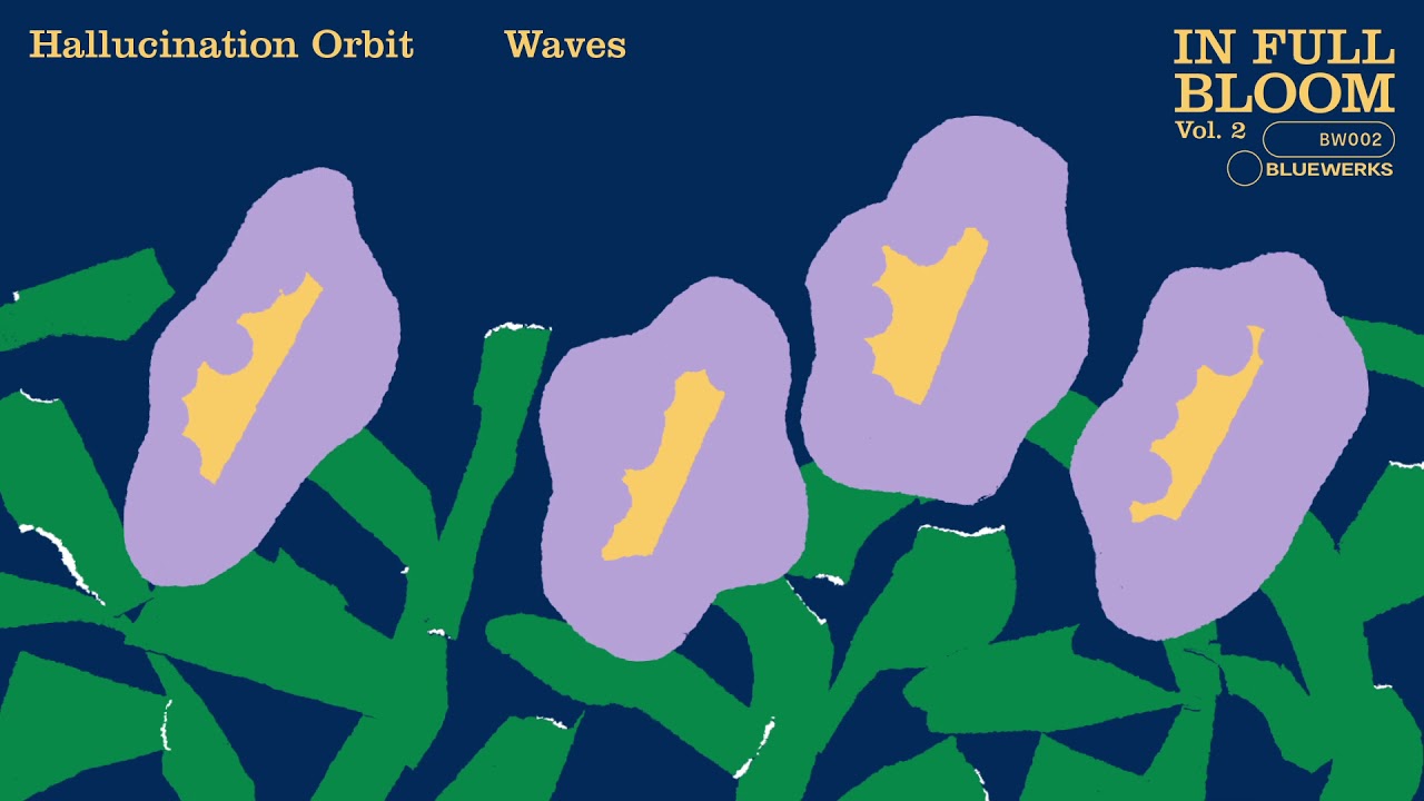 Bluewerks - Hallucination Orbit - 
