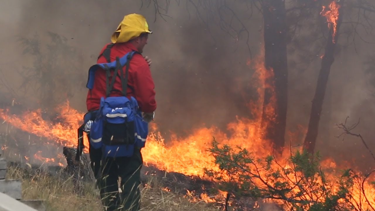 Firefighters and neighbors put out fire and save Shepherd home