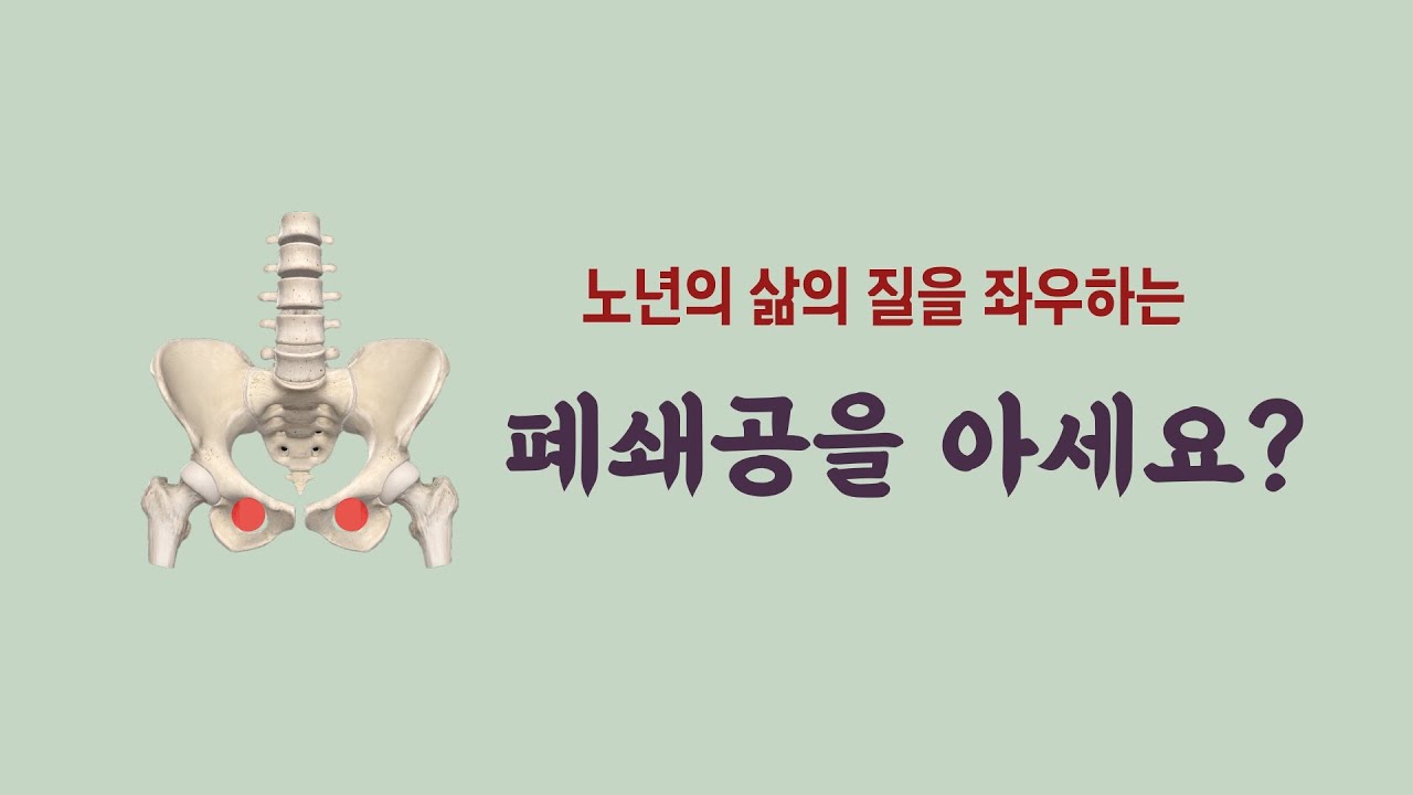 [ 마름모코어 시즌2-42 ] 꼬리뼈 천골과 저항해 척추를 세우고 골반 중립을 만드는 폐쇄구멍의 위치와 역할