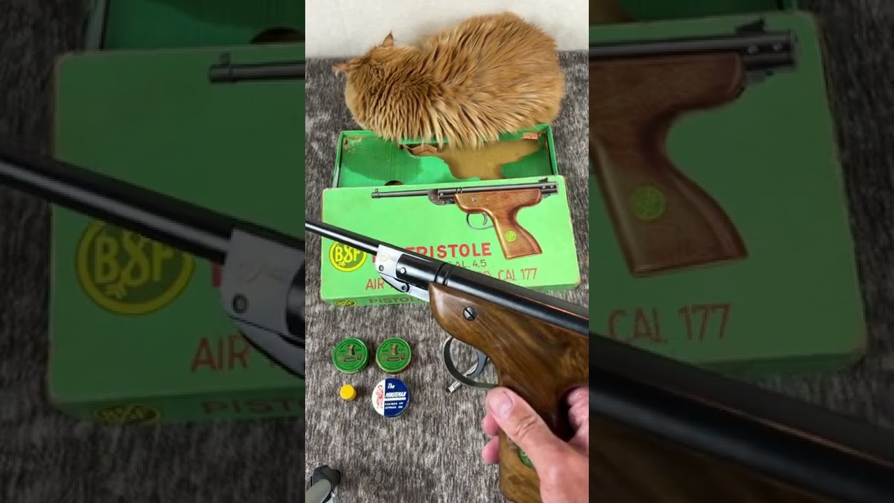 BSF “Bayerische Sportwaffenfabrik” S20 Air Pistol with Original Box