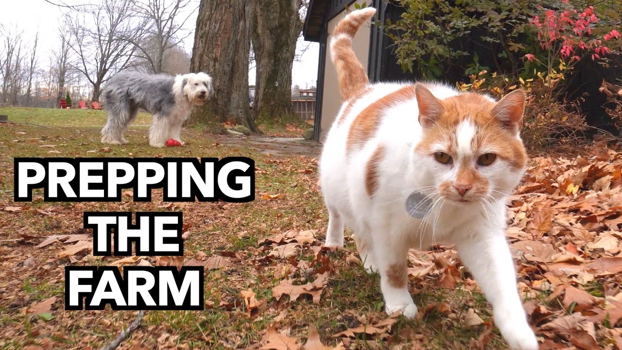 Prepping for the Approaching Winter Season