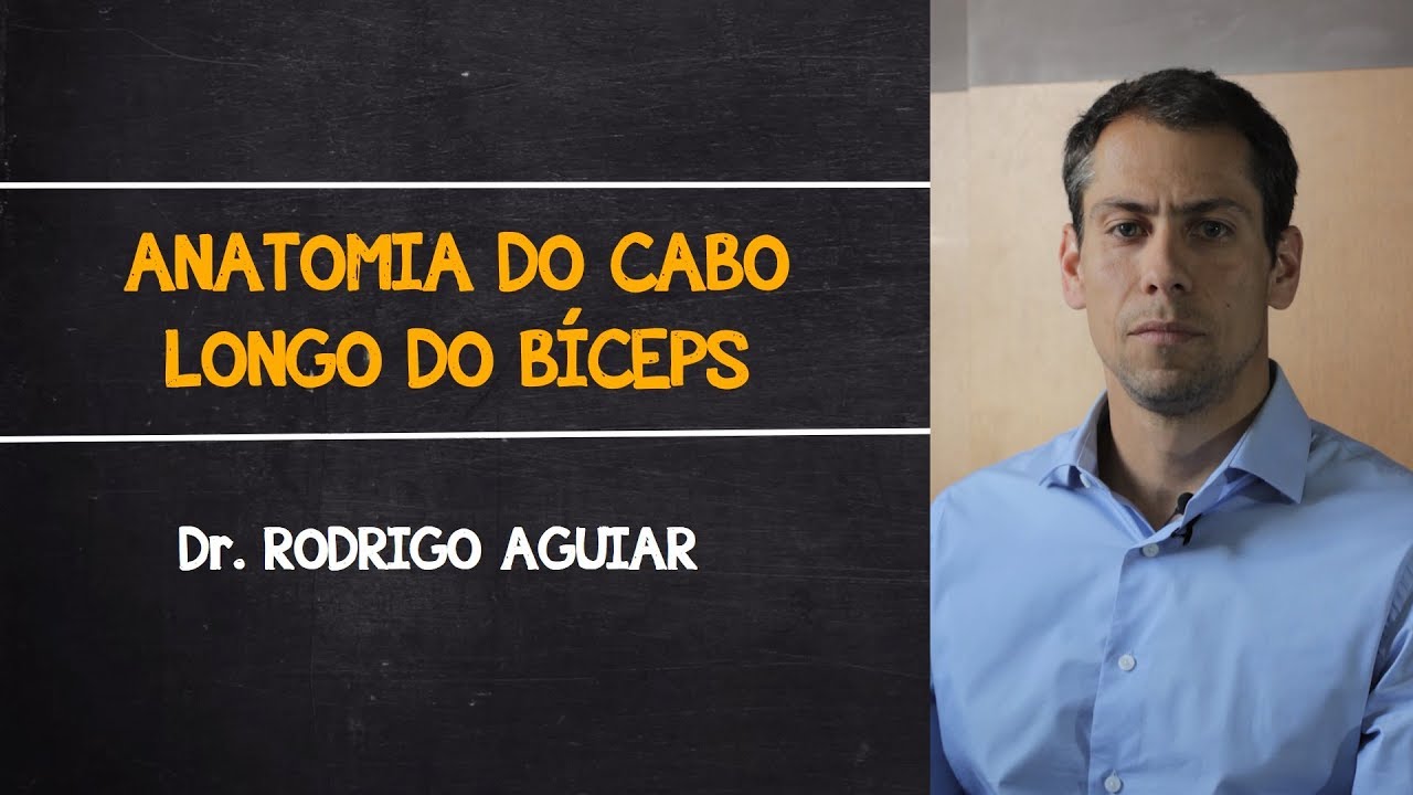 Anatomia do Cabo Longo do Bíceps