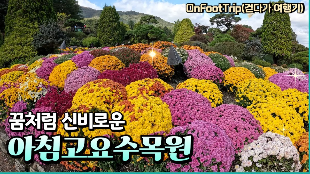 꿈처럼 신비로운 경기도 가평군 아침고요수목원 (Achim Goyo Arboretum in Gapyeong of GyeongGiDo)