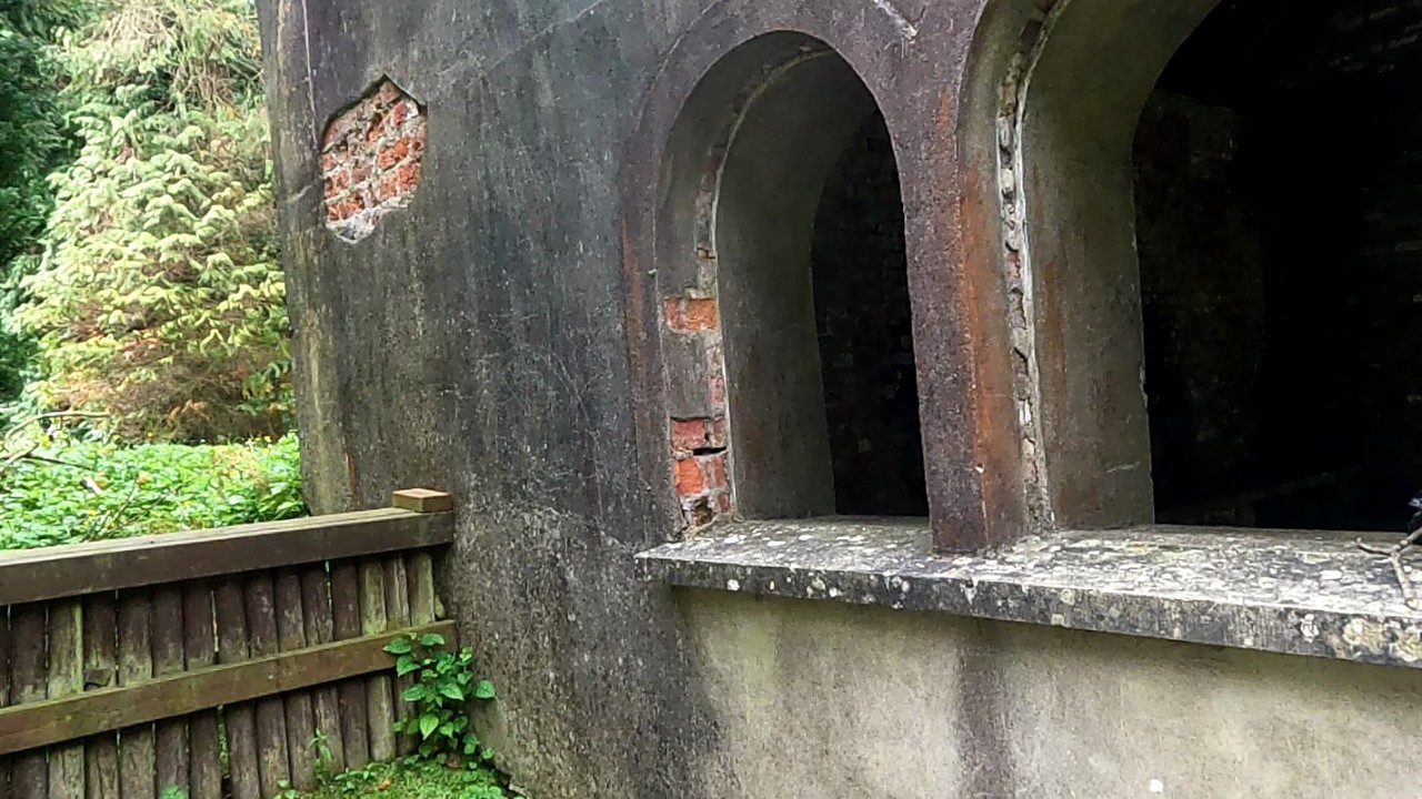 Gosford Forest, Markethill, County Armagh Part Three 14th July 2024