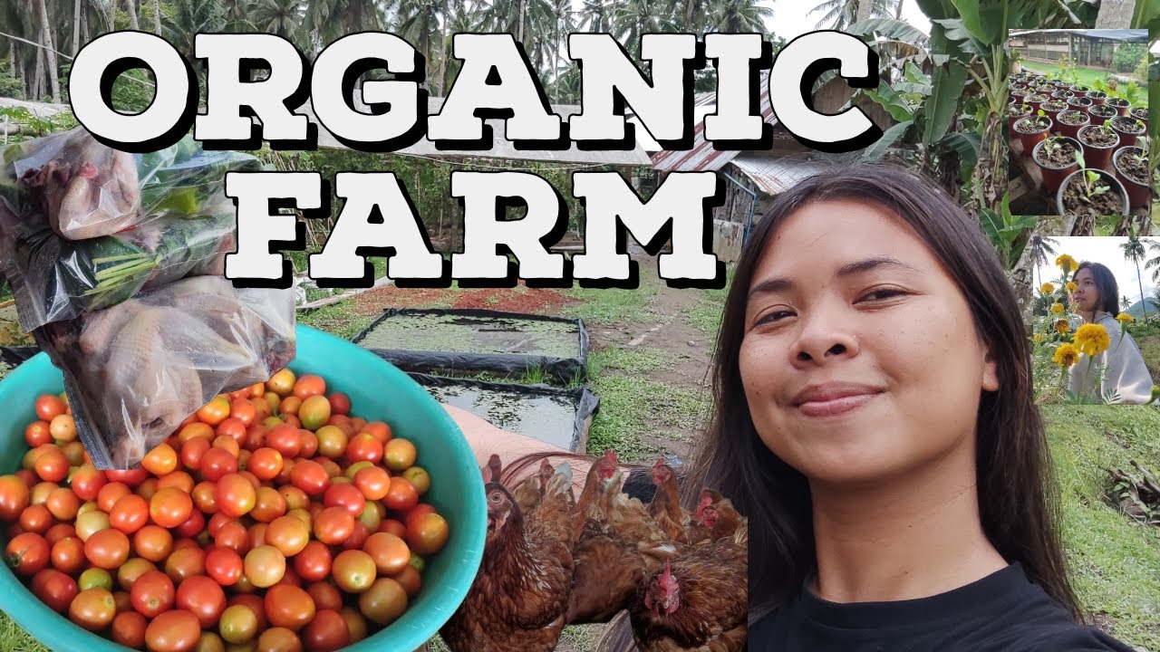 Organic Farm in Abuyog, Leyte, Philippines Tour | Natural Farming set-up | No antibiotics