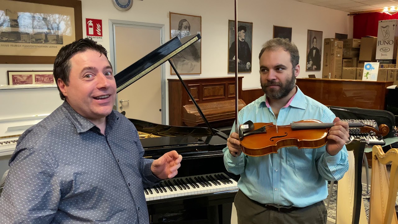 Il VIOLINO, COM'È FATTO? COME FA a PRODURRE il SUONO? SCOPRIAMOLO INSIEME a cura di borsarionline.it