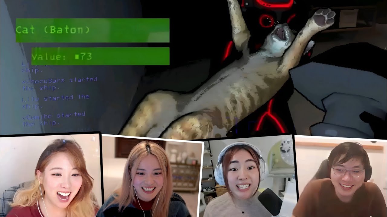 When Your Cat Become Famous