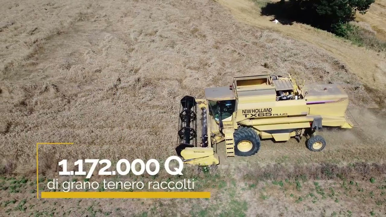 Trebbiatura 2023 in Umbria