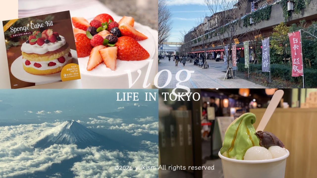 Vlog｜Life in TOKYO｜特別な体験から始まる12月の記録｜手軽なキットでクリスマス料理🎄｜年末の豊洲ランチとラムセス展｜初富士🗻