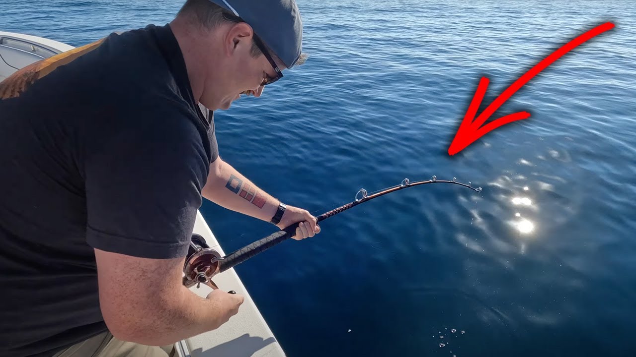 Ловля групера в тренде — NC Grouper Fishing