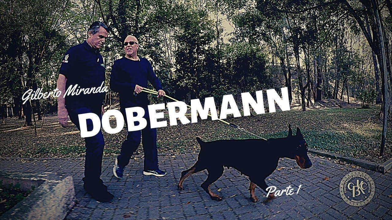 Dobermann | Dr. Edgard Morales Brito | Parte 1