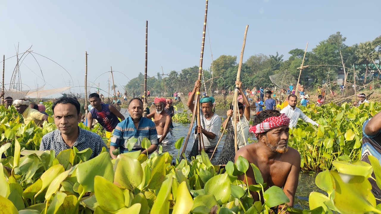 প্রাচীন পদ্ধতি পলো দিয়ে মাছ ধরার উৎসব ২০২৬ | Traditional Polo Fishing Festival 2026